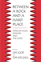 Between a Rock and a Hard Place: African NGOs, Donors, and the State cover