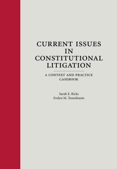 Current Issues in Constitutional Litigation: A Context and Practice Casebook cover