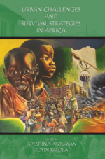 Urban Challenges and Survival Strategies in Africa cover