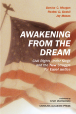 Awakening From the Dream cover