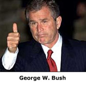 Bush.JPG (8040 bytes)