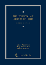 The Common Law Process of Torts, Second Edition