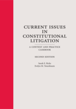 Current Issues in Constitutional Litigation, Second Edition
